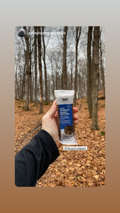 Wild Blueberry